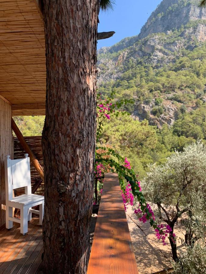 Large Bungalow With Sea View In Kabak Bay, Oeluedeniz Φετιγιέ Εξωτερικό φωτογραφία
